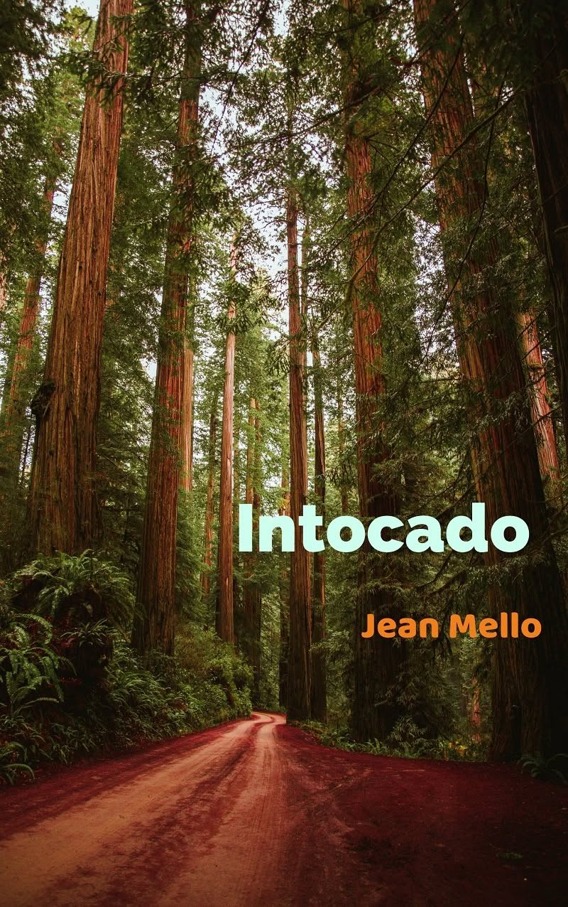 Livro de Poesia de Jean Mello, Intocado