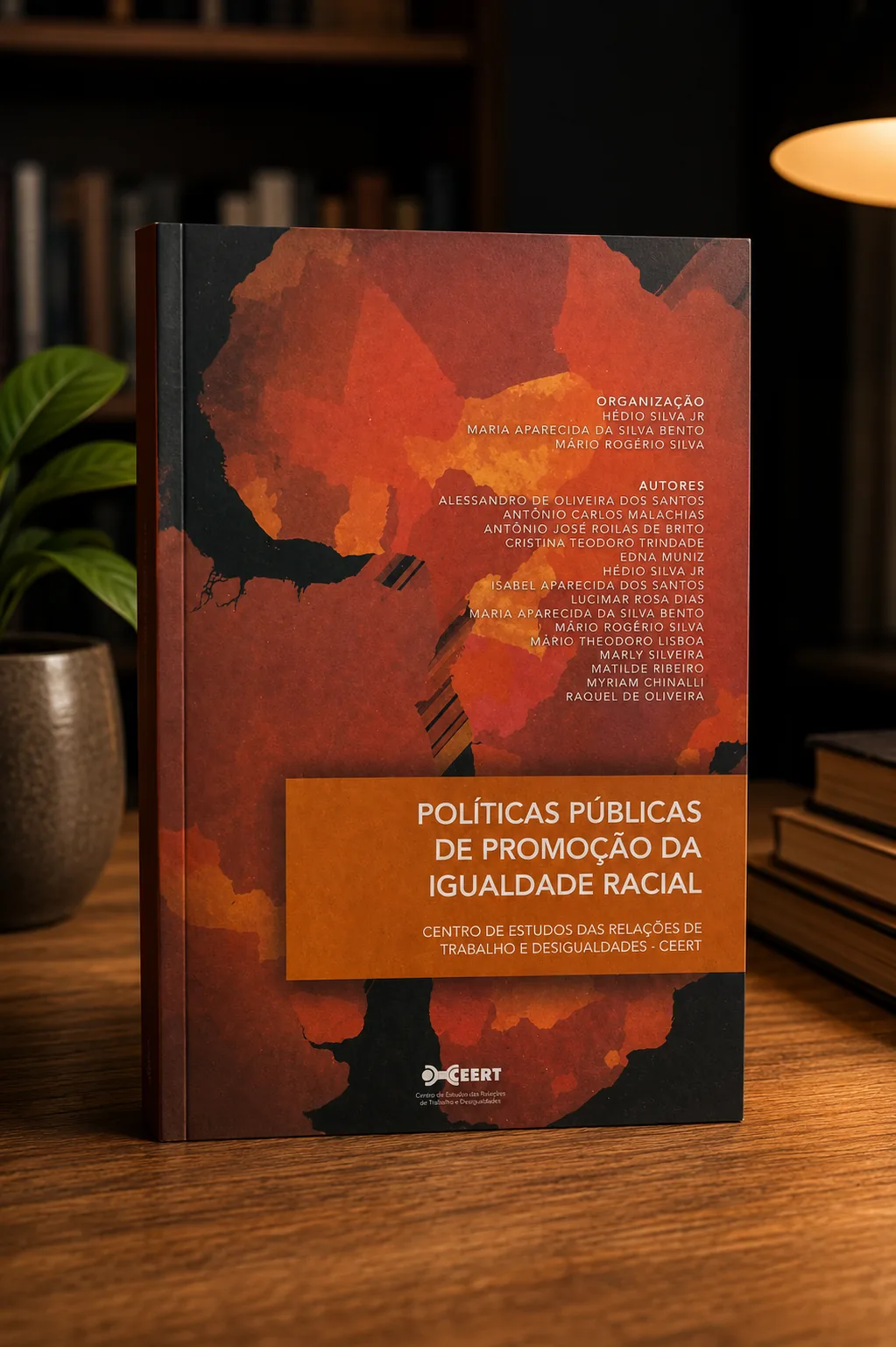 Políticas Públicas de Promoção da Igualdade Racial